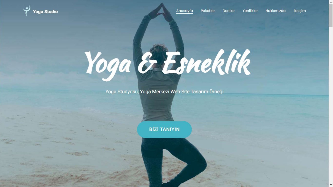 TemA 14 - yOGA - kURUMSAL wEB tASARIM - hIZLI wEB - uYGUN fİYATLI wEB tASARIM